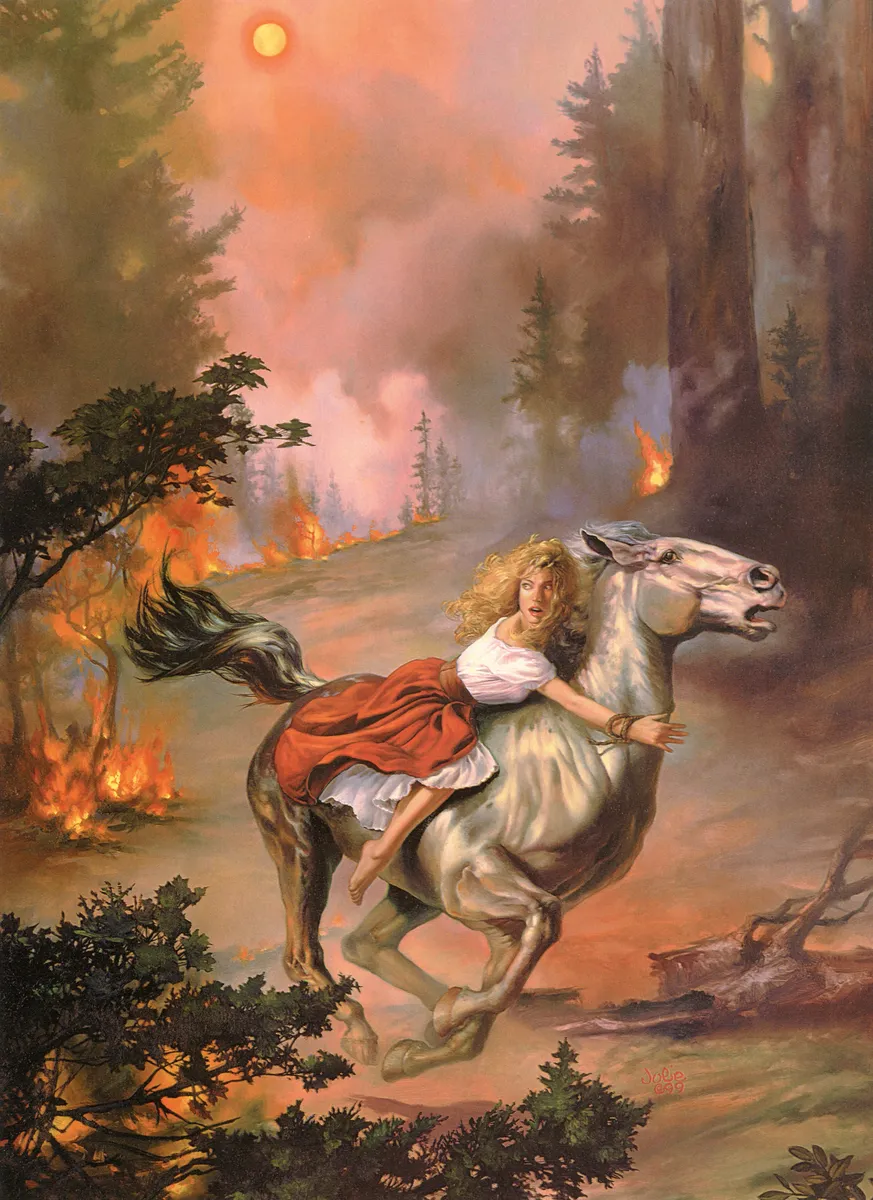 Forest Fire